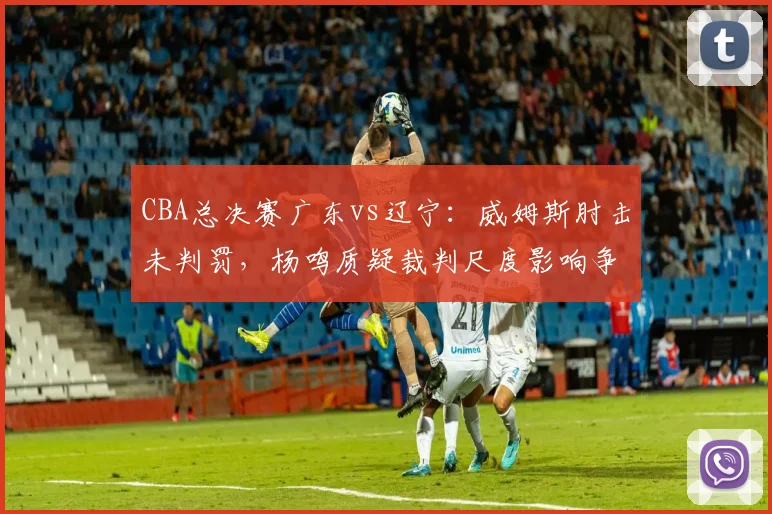 CBA总决赛广东vs辽宁：威姆斯肘击未判罚，杨鸣质疑裁判尺度影响争冠
